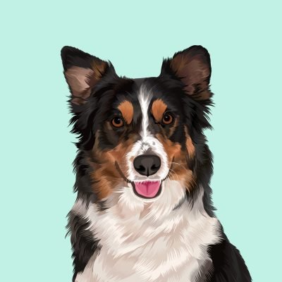 Pet Portrait 26